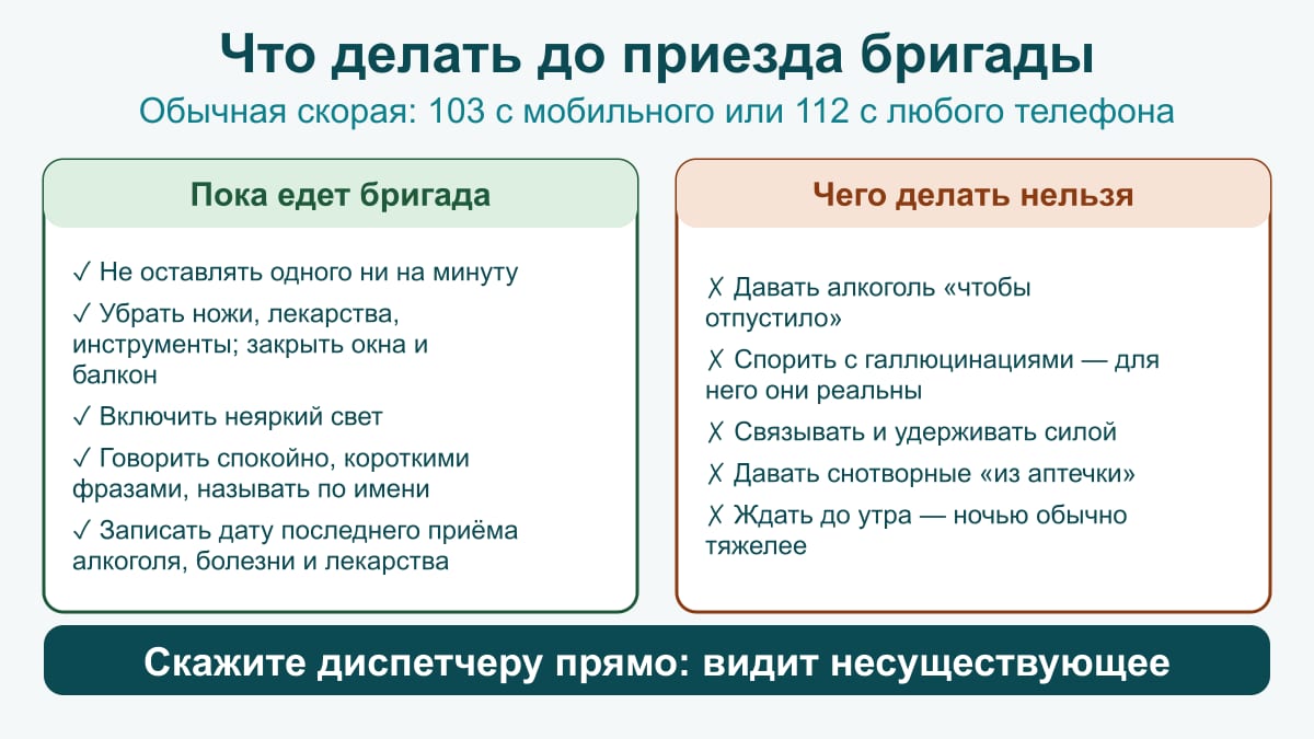 Схема до приезда бригады: не оставлять одного, убрать опасное, неяркий свет, говорить спокойно; нельзя давать алкоголь и снотворные, спорить, удерживать силой